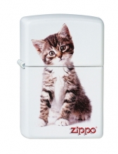 images/productimages/small/Zippo Kitten Sitting 2003115.jpg